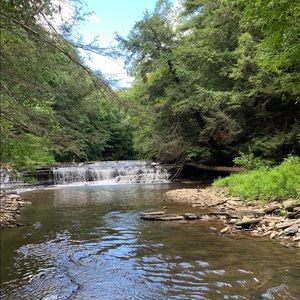 listing for @wilanu6